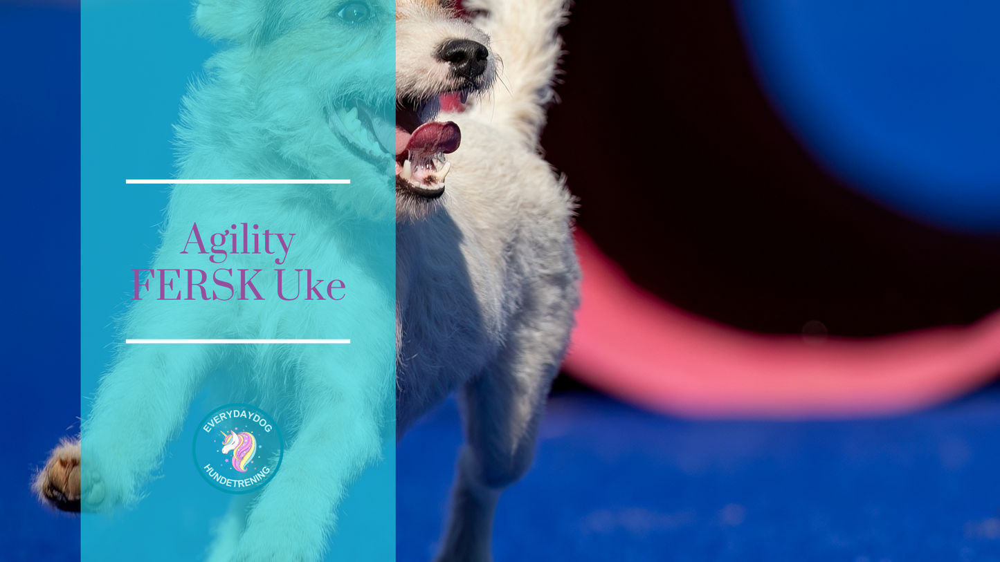 Agility - FERSK
