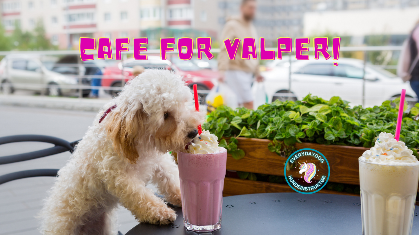Cafe for valper!