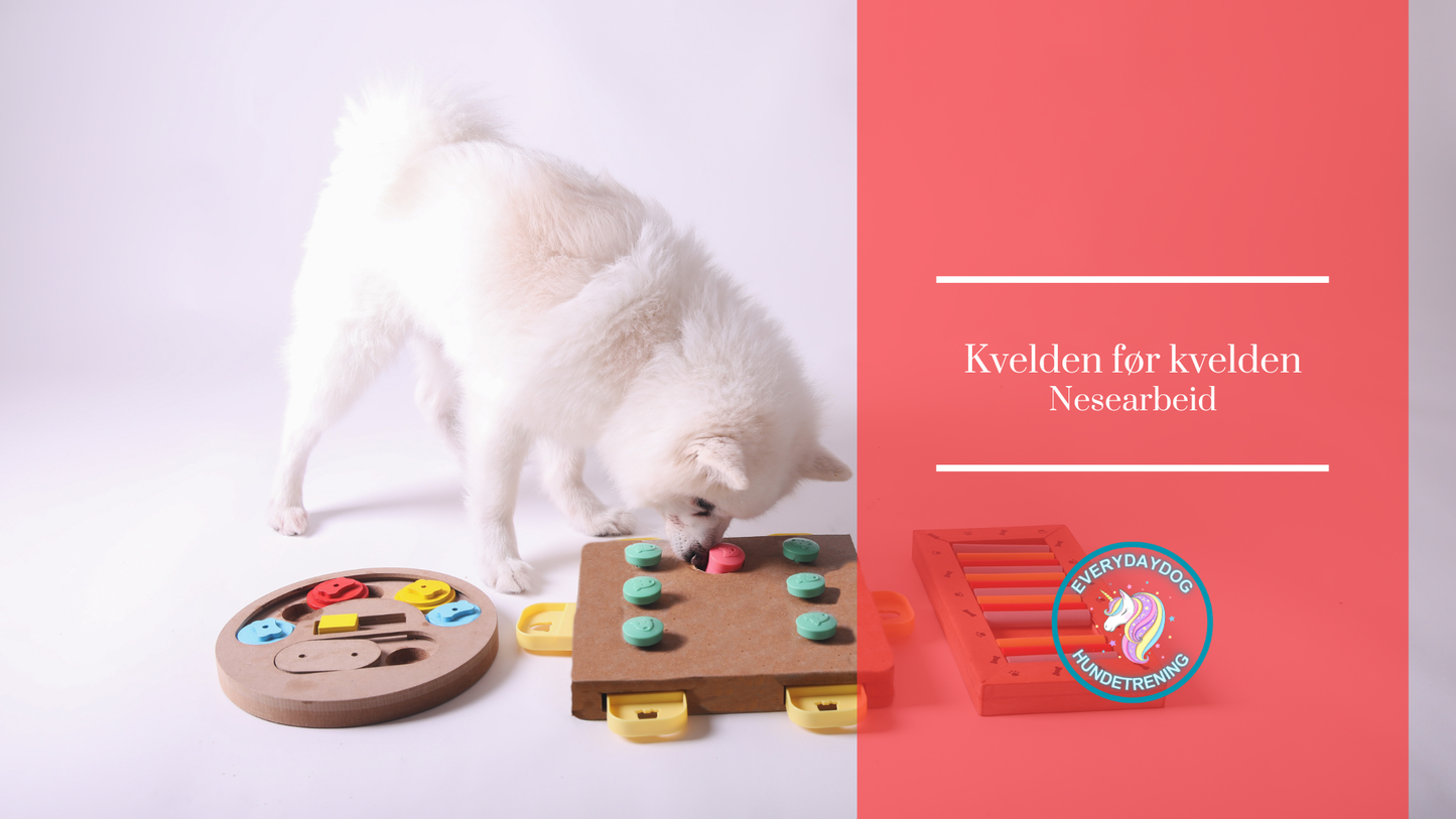 Kvelden før kvelden - nesearbeid