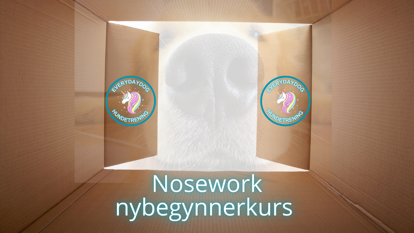 Nosework - nybegynnerkurs