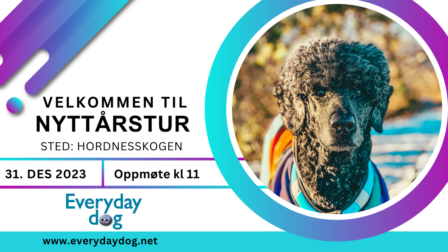 Nyttårstur 2023