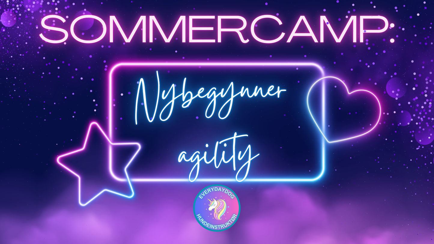 Sommercamp - nybegynnerkurs I agility