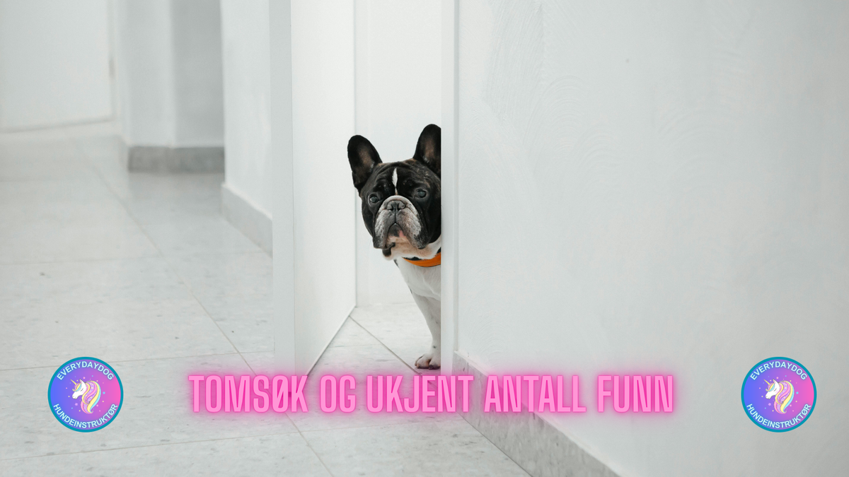 Tomsøk og ukjent antall funn