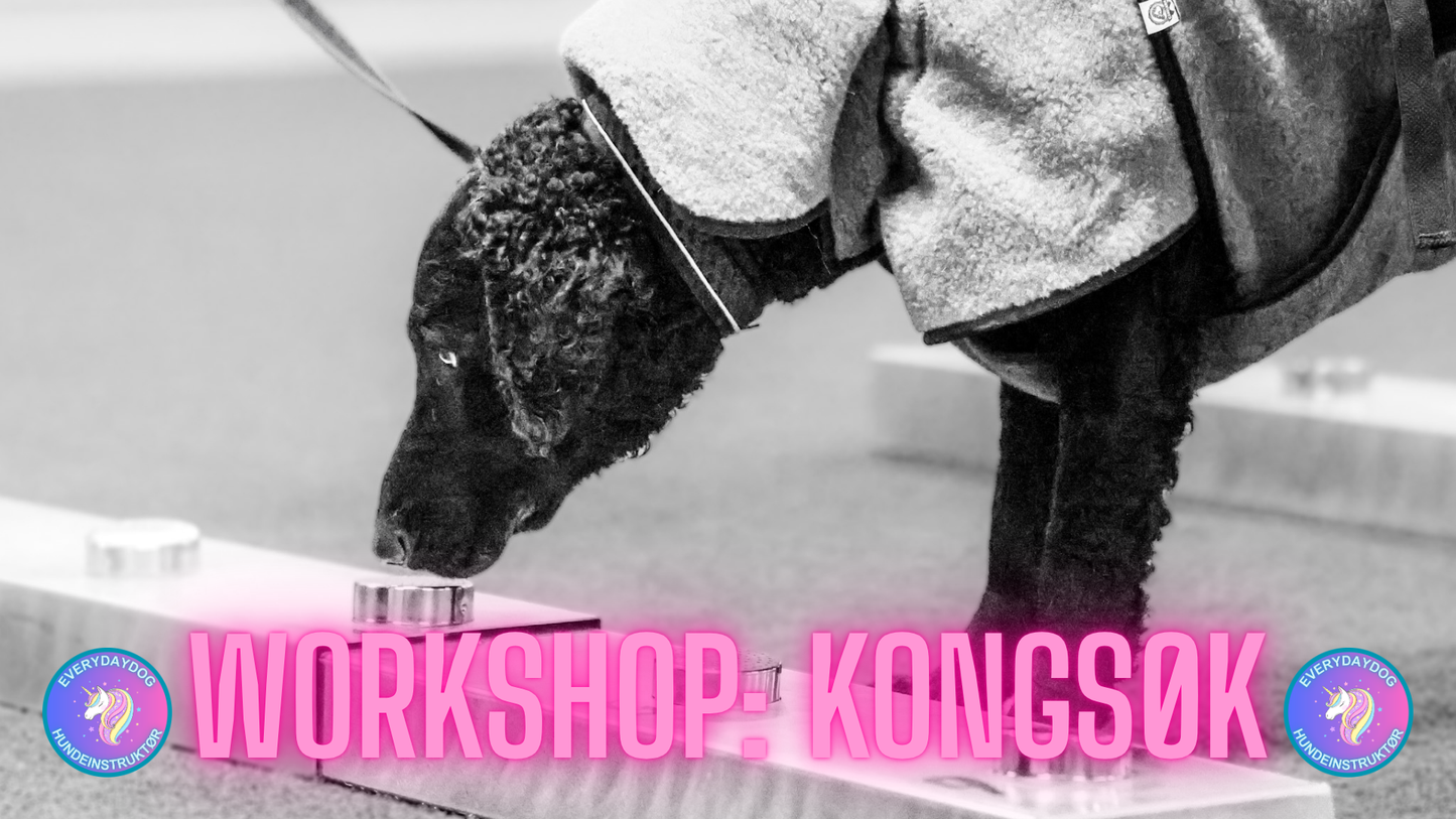 Workshop: Kongsøk