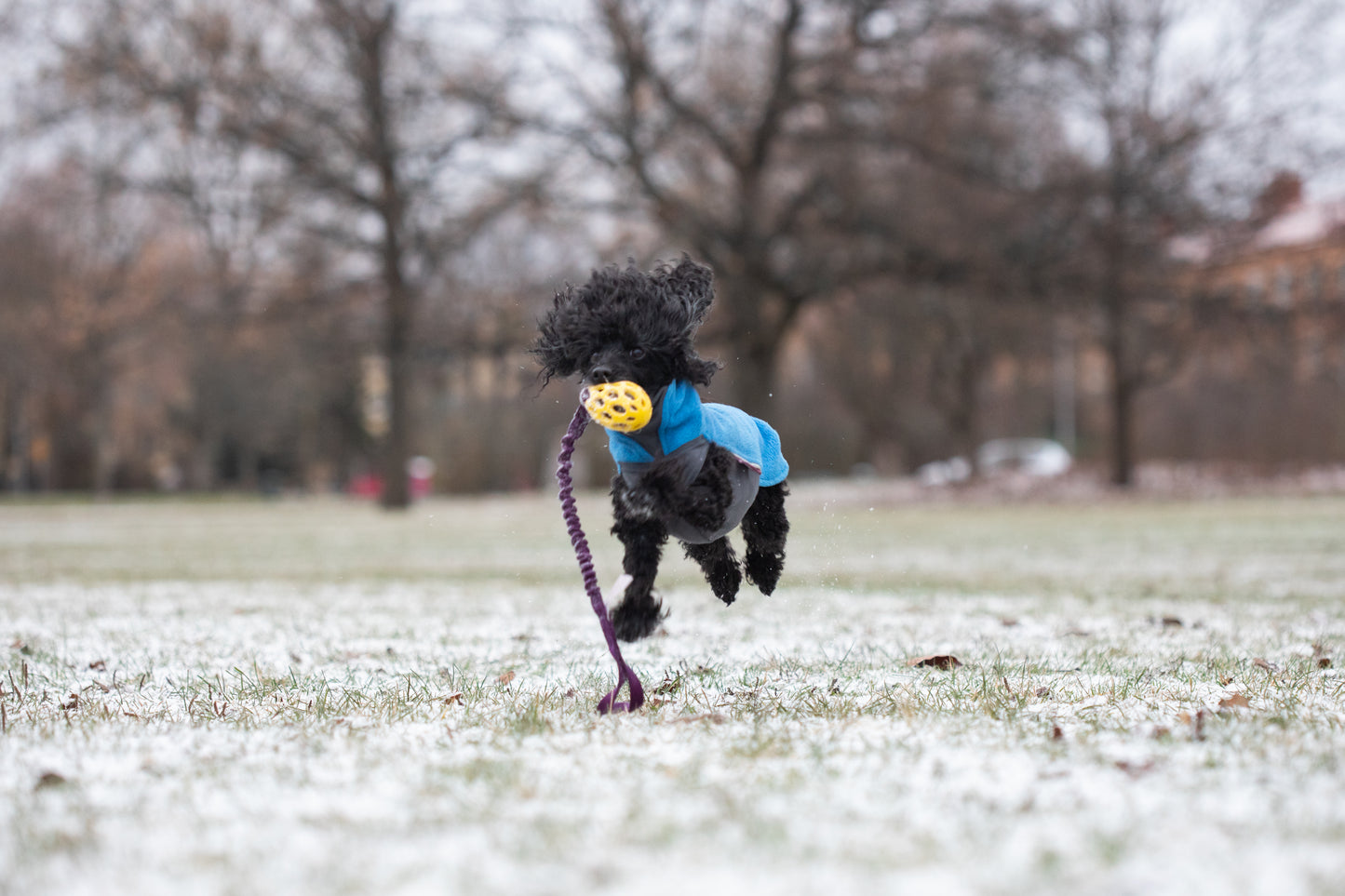 Elastisk Hol-ee football kampis str S