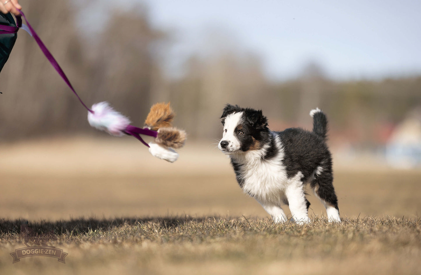 Elastisk blackfiskjager med bever/rev/kanin str S
