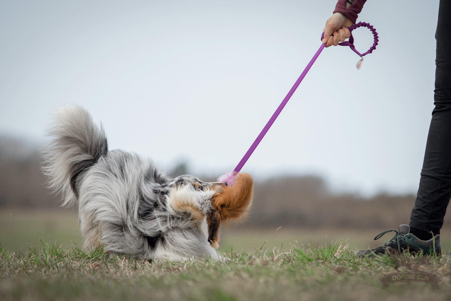 Elastisk blackfiskjager med rev
