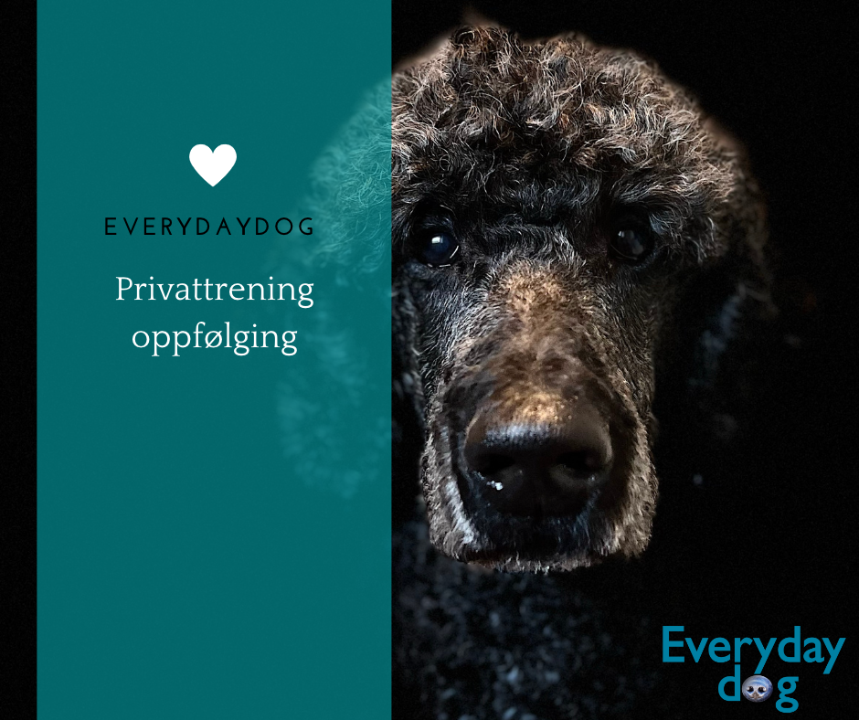 Privattrening - oppfølging