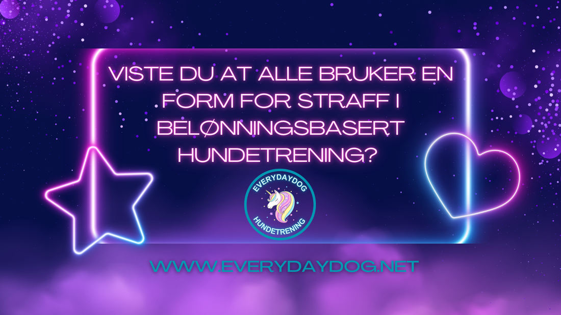 Viste du at alle bruker en form for straff i belønningsbasert hundetrening?