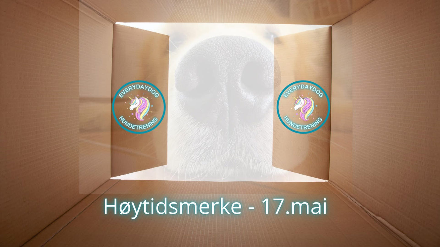 Høytidsmerke  - 17.mai (Askøy)