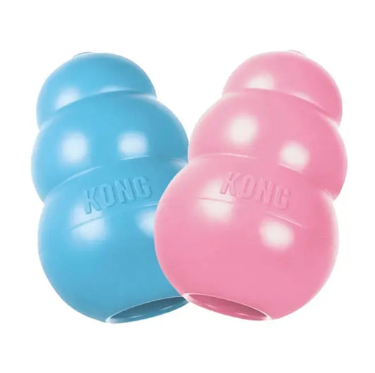 Kong Puppy