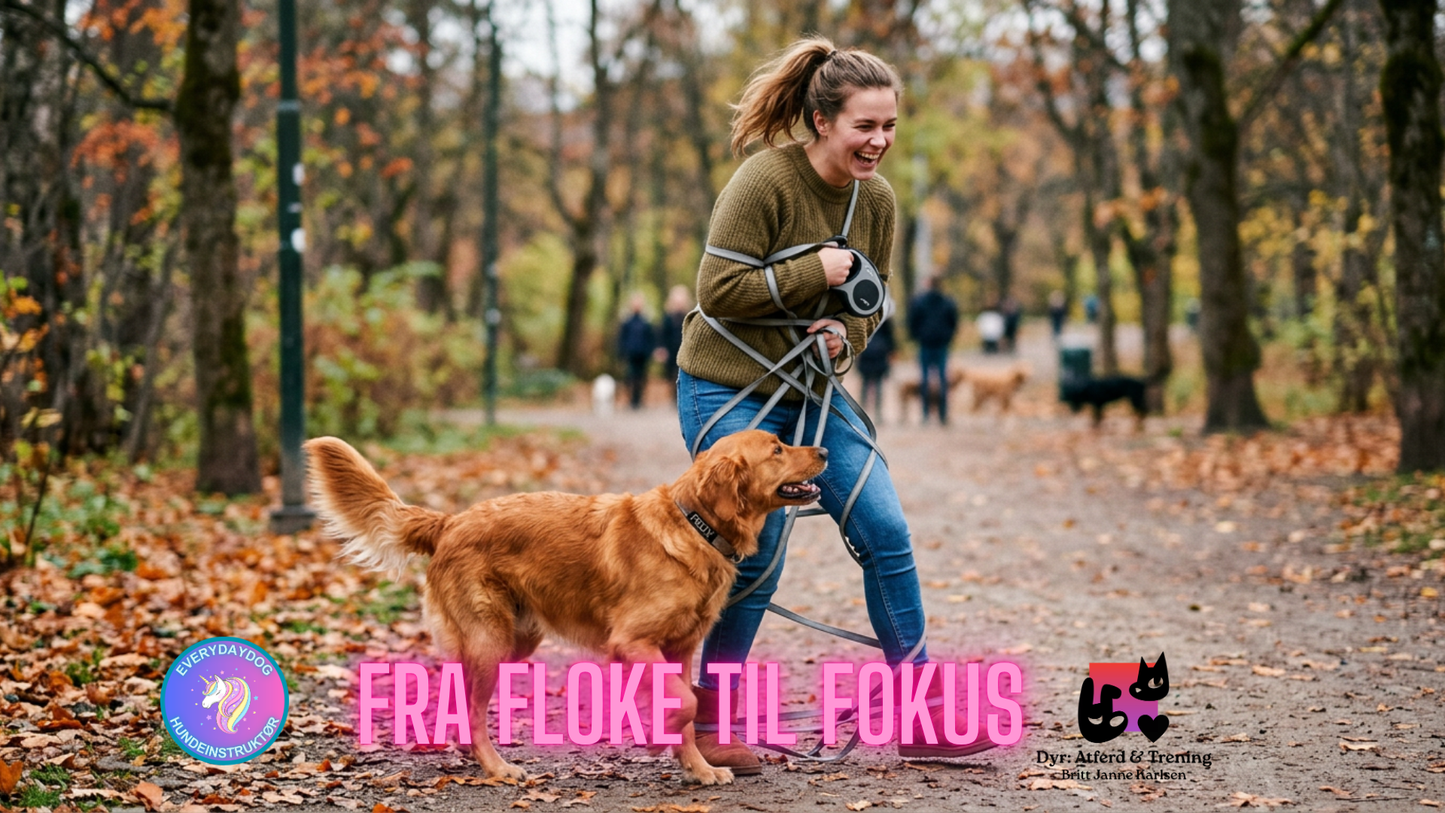 Fra Floke til Fokus