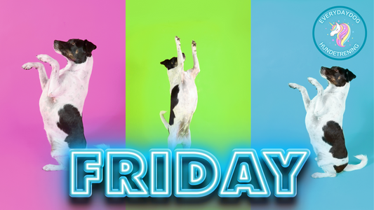 FRIDAY