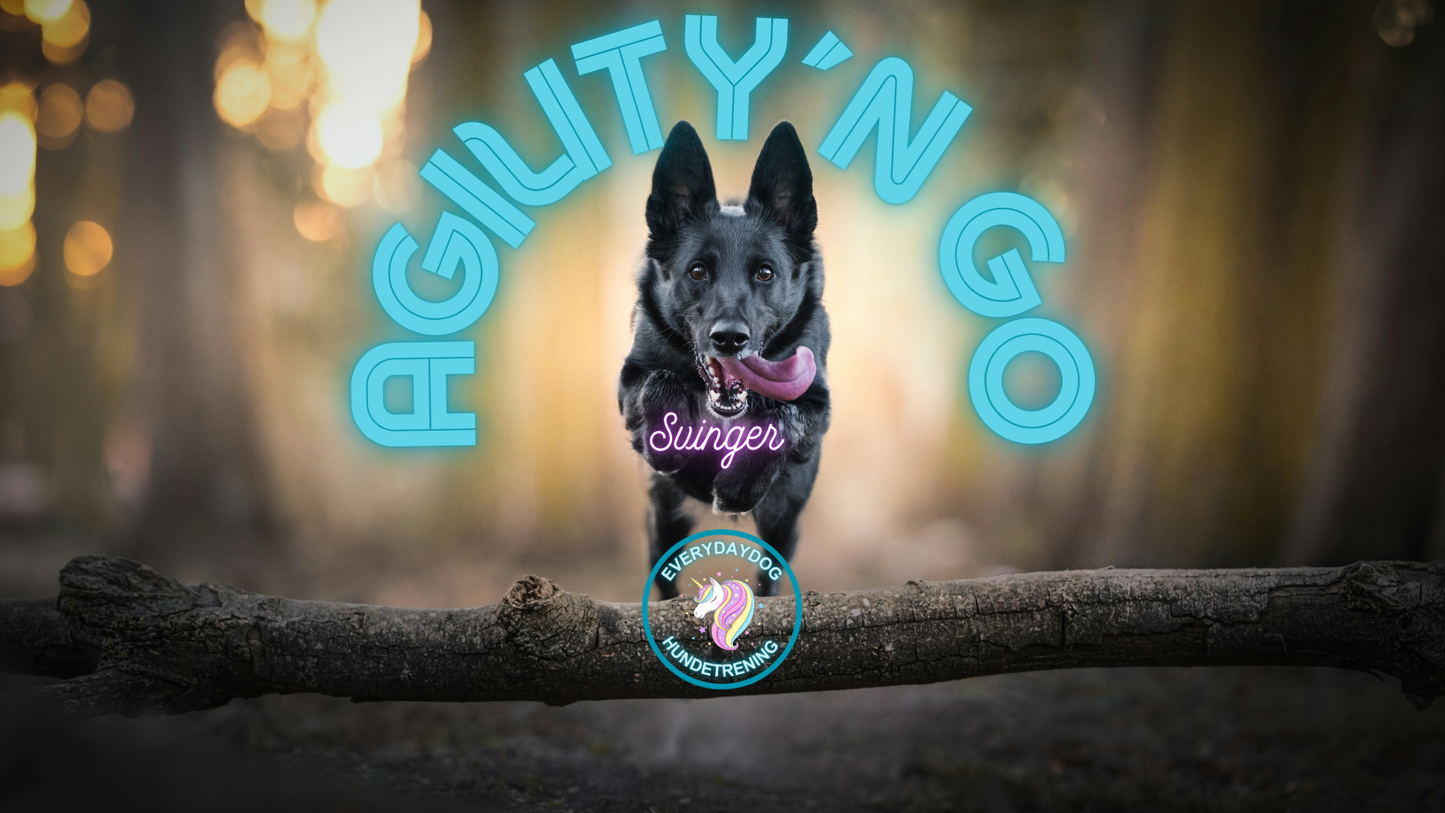 Agility´n Go - svinger