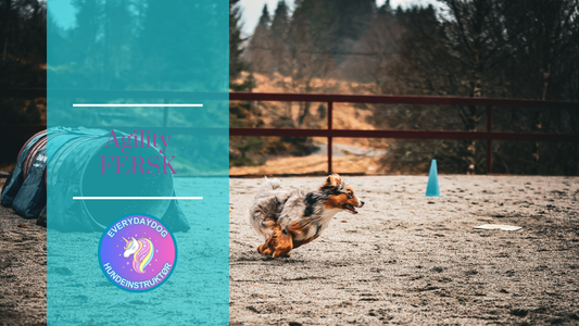 Agility - FERSK