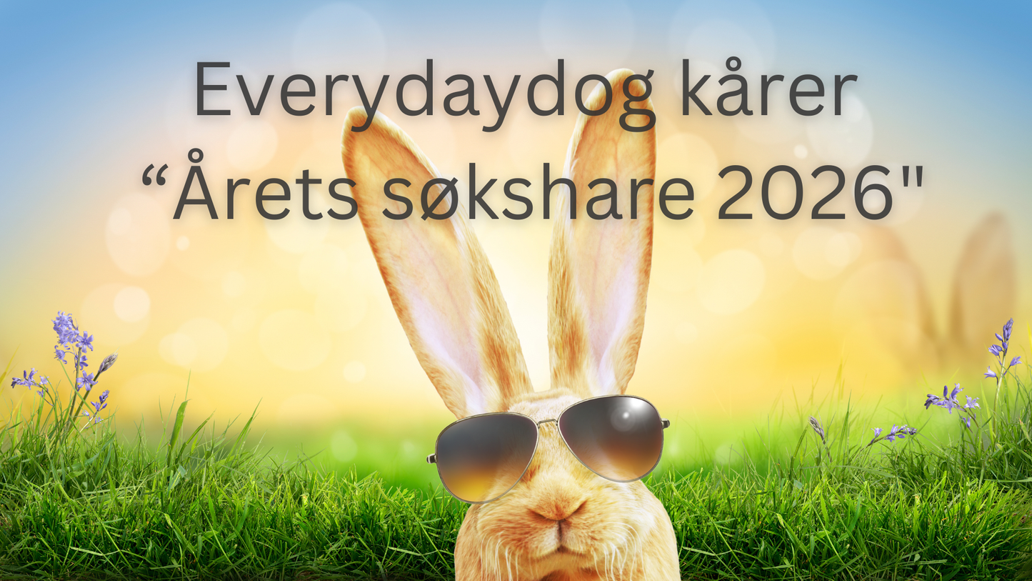 Årets søkshare 2026