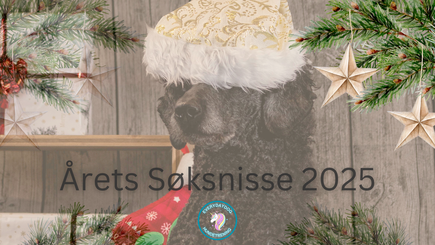 Årets søksnisse 2025