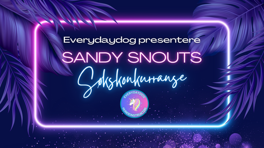 Sandy Snouts - en uoffisiell søkskonkurranse
