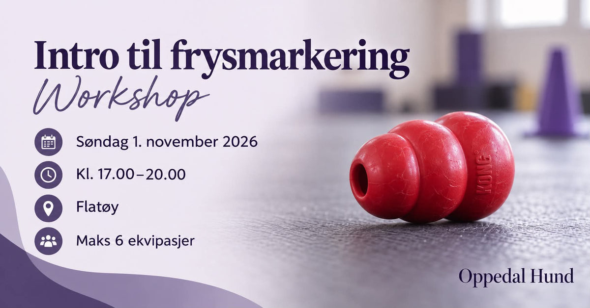 Frysmarkering med Oppedal hund