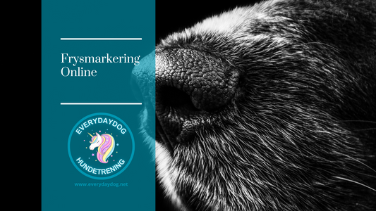 Frysmarkering - Online