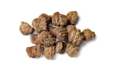 Kingsmoor Horse - air dried godbiter