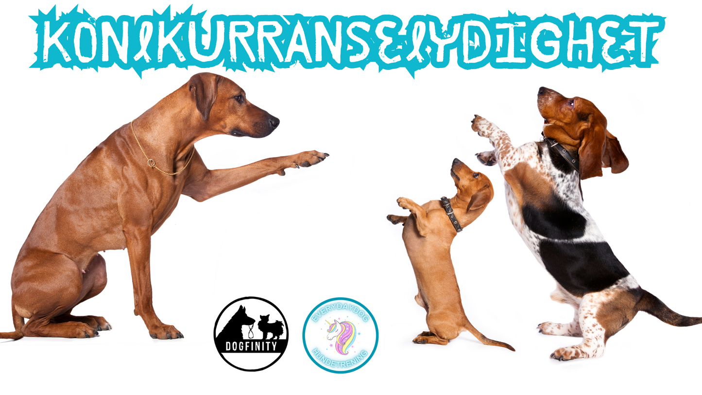 Konkurranselydighet 19-21 september 2025
