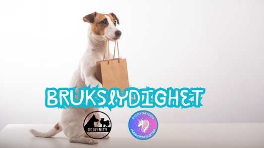 Brukslydighet med Dogfinity - 12-13 september 2026