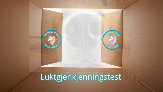Luktgjenkjenningstest - LGT (Askøy)