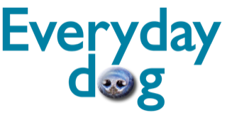 Everydaydog