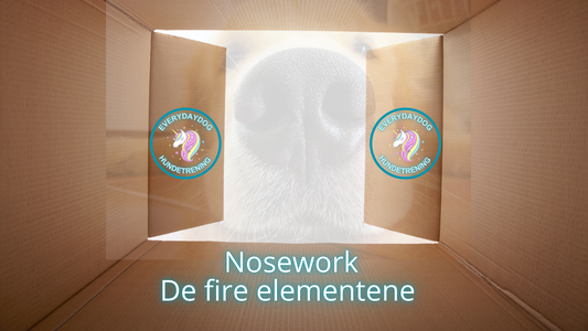 Nosework - de fire elementene