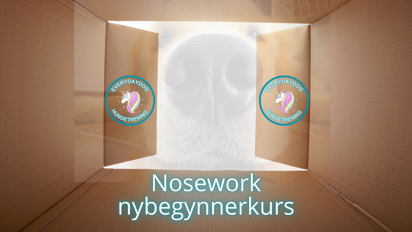 Nosework nybegynnerkurs