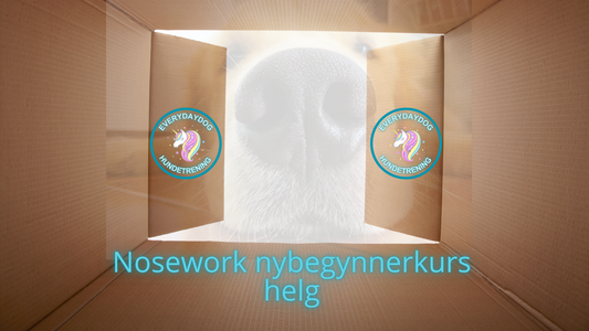 Nosework - nybegynnerkurs helg