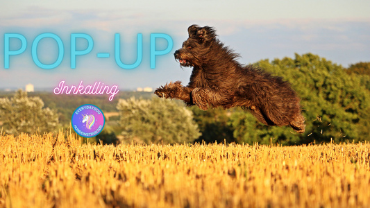 Pop-up innkalling