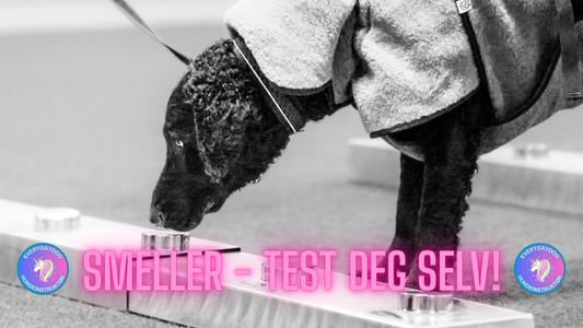 Smeller - Test deg selv!