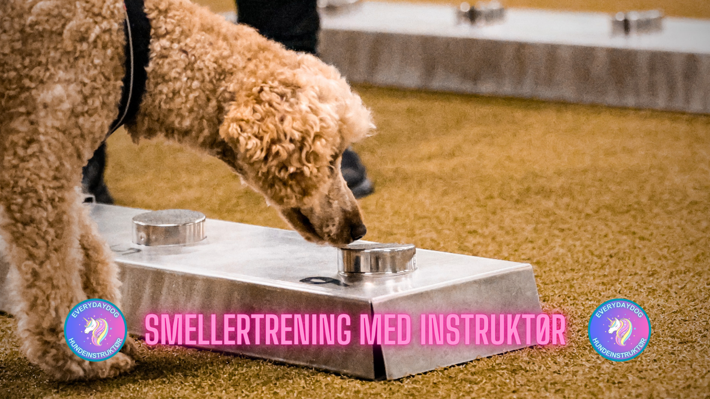 Smellertrening med instruktør