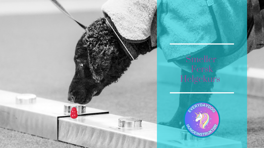 Smeller - fersk helgekurs