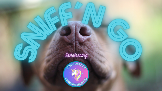 Sniff´n Go