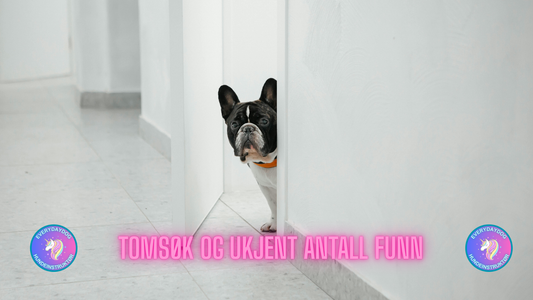 Tomsøk og ukjent antall funn