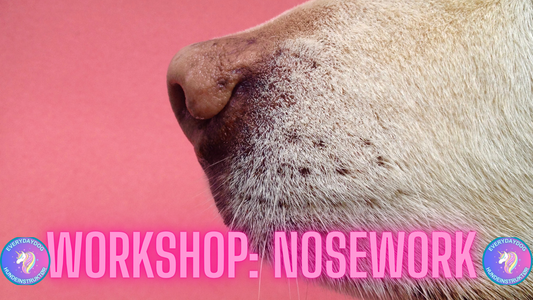 Workshop: Nosework
