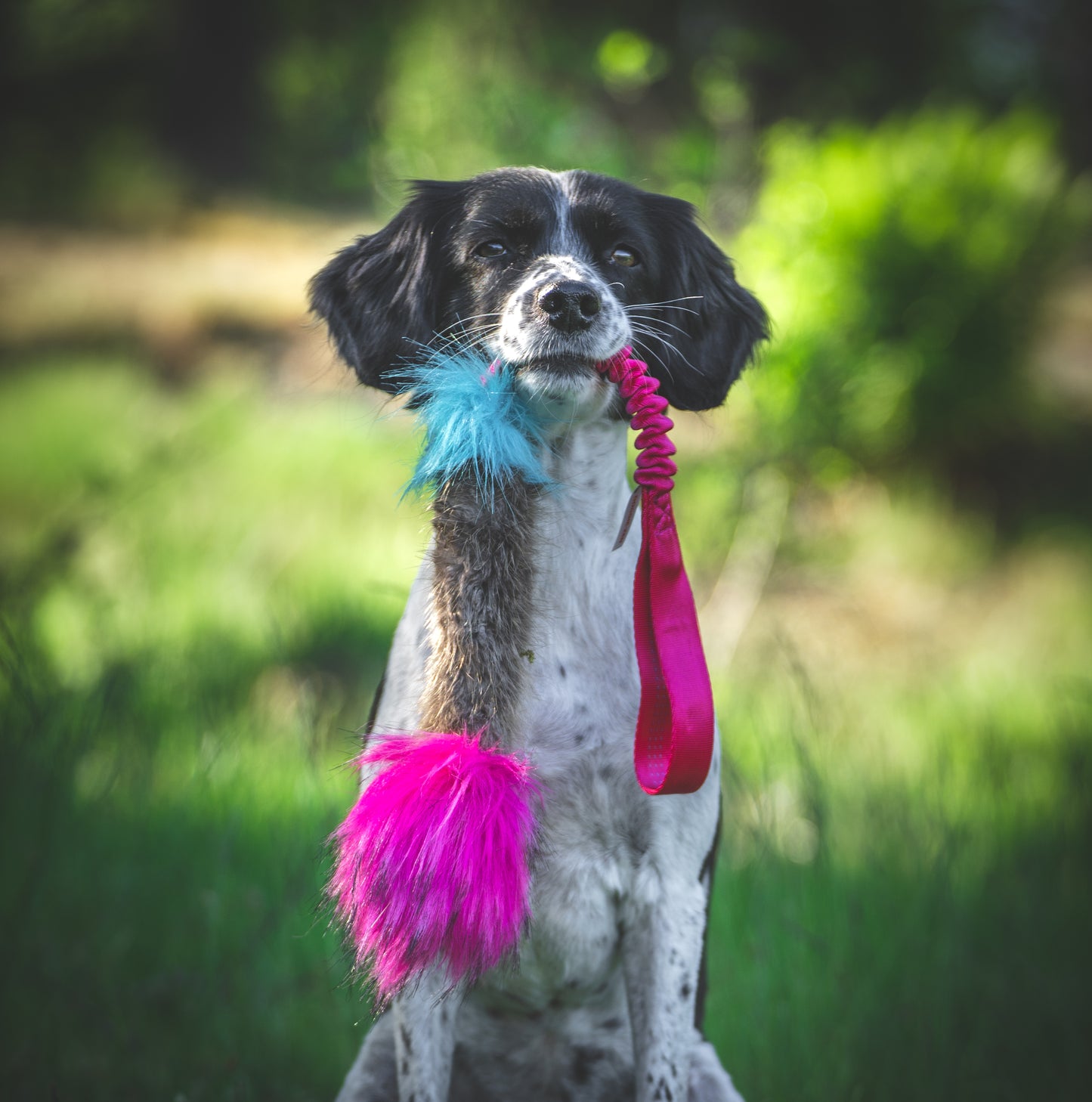 Elastisk beverpipkampis str L