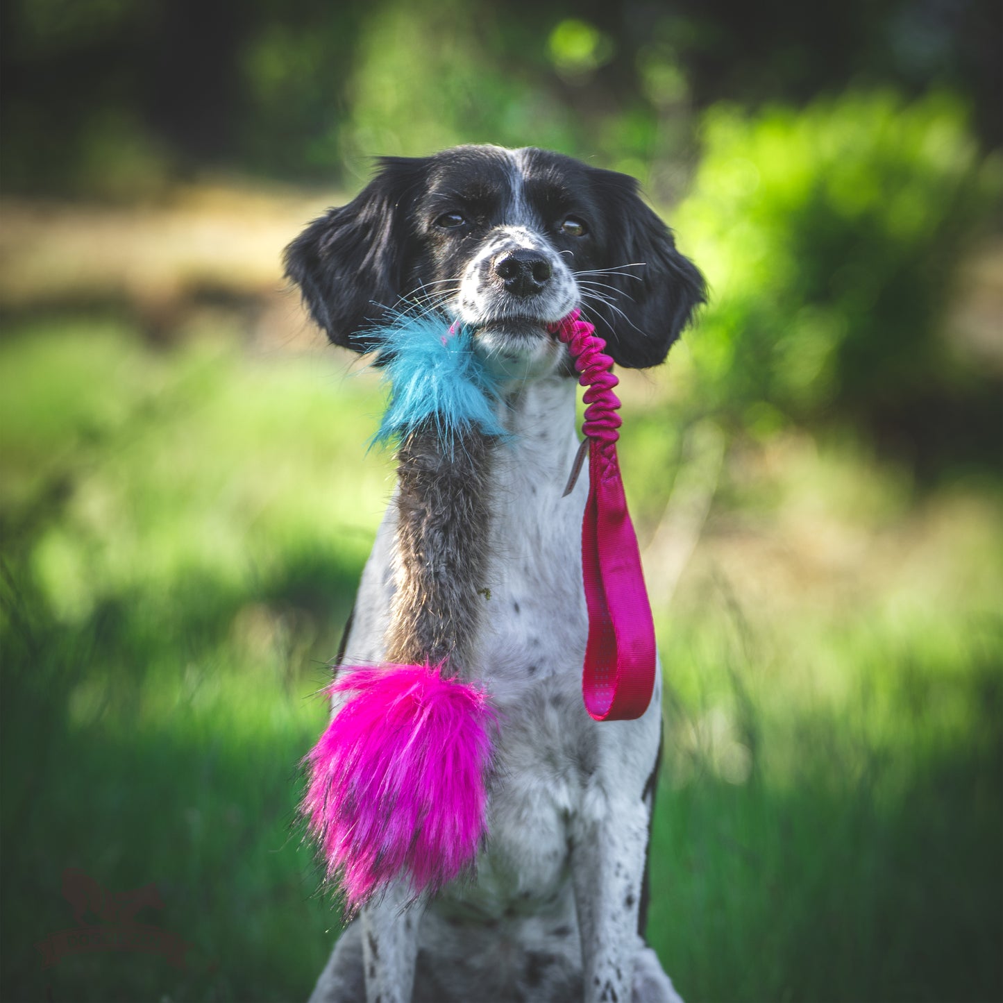 Elastisk beverpipkampis str L