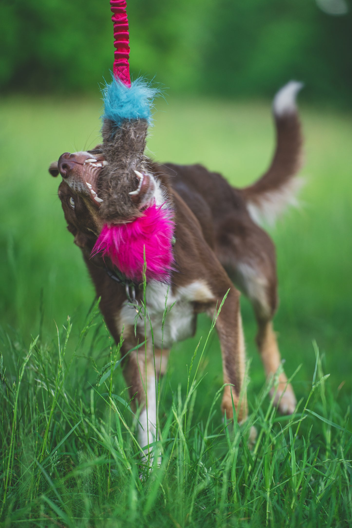 Elastisk beverpipkampis str L