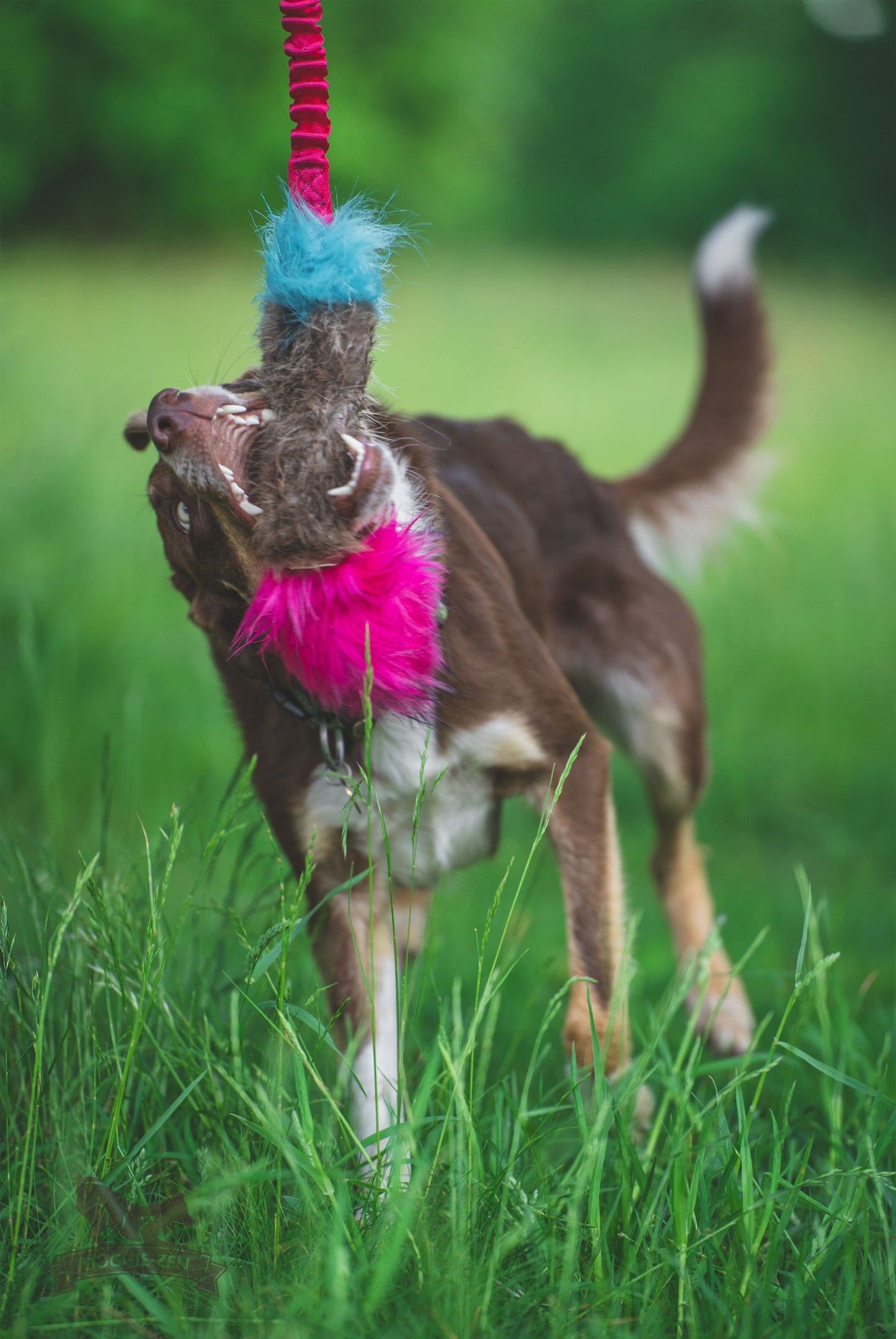 Elastisk beverpipkampis str L