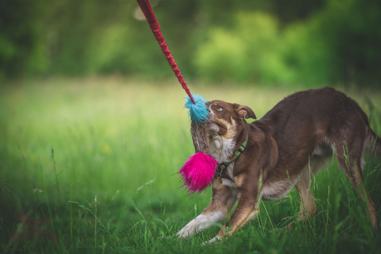 Elastisk beverpipkampis str L