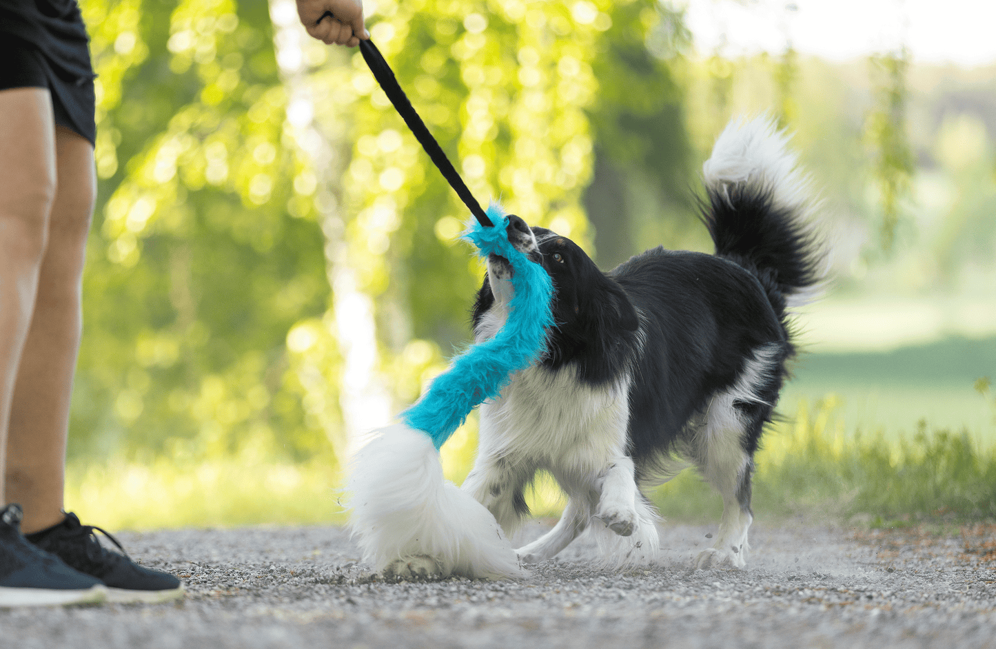 Elastisk fusk-og fåreskinnsjagerkampis L