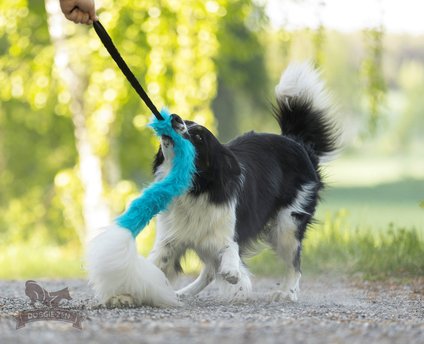 Elastisk fusk-og fåreskinnsjagerkampis L