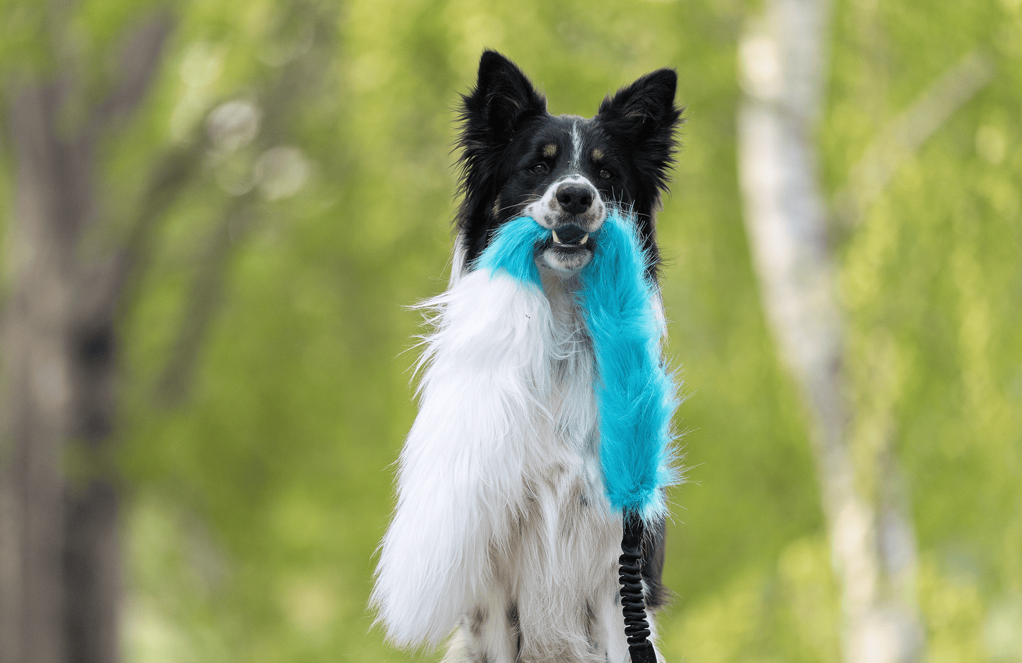 Elastisk fusk-og fåreskinnsjagerkampis L