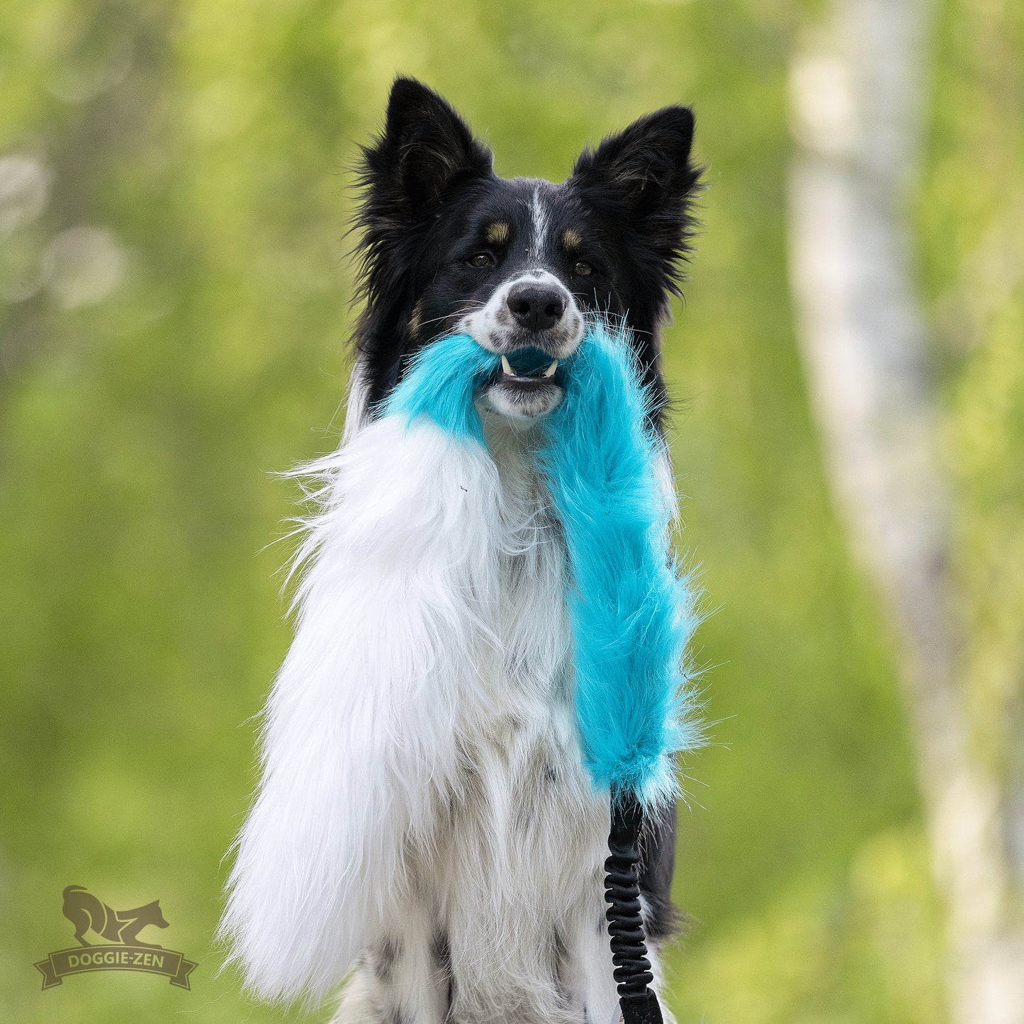 Elastisk fusk-og fåreskinnsjagerkampis L