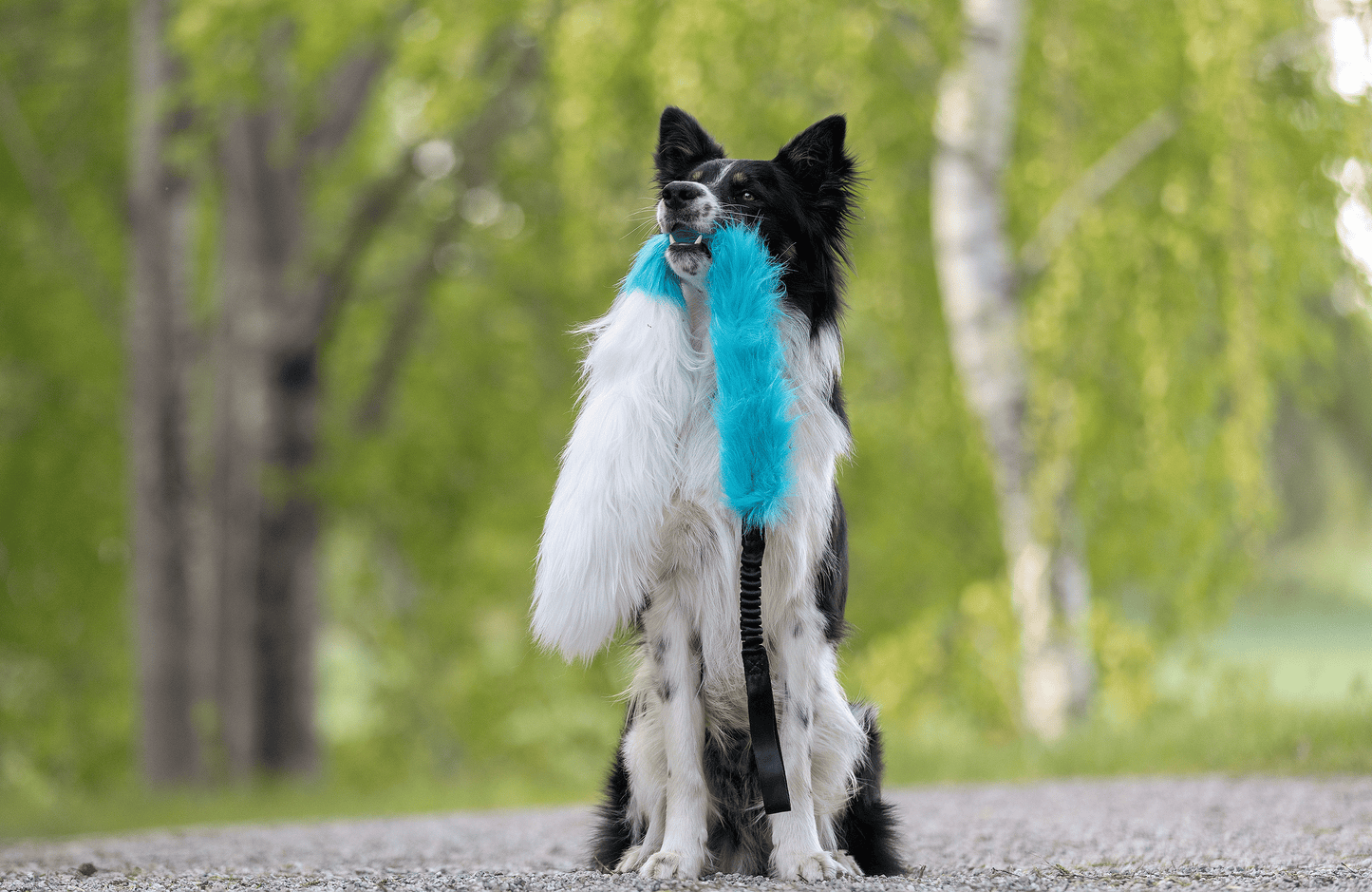 Elastisk fusk-og fåreskinnsjagerkampis L