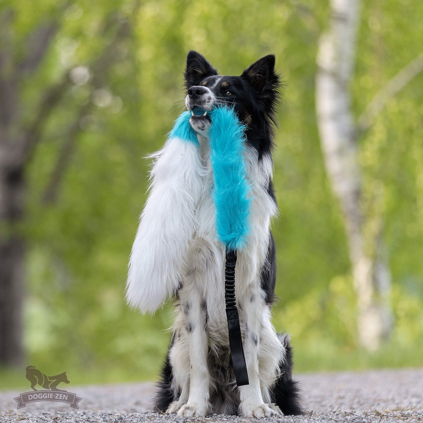 Elastisk fusk-og fåreskinnsjagerkampis L